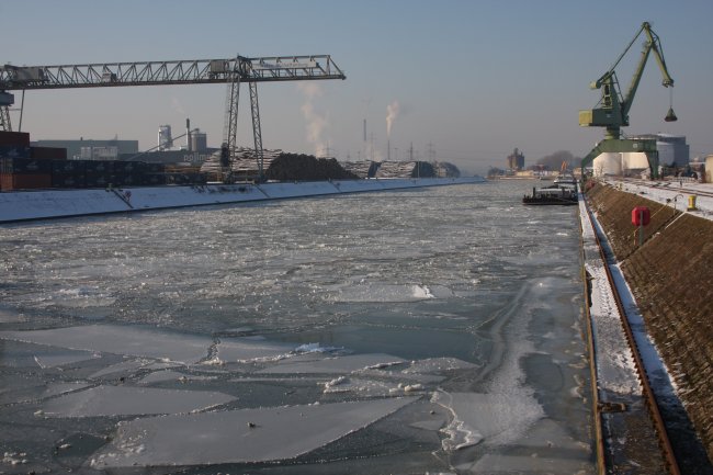 Winter 10.01.2009 010.jpg